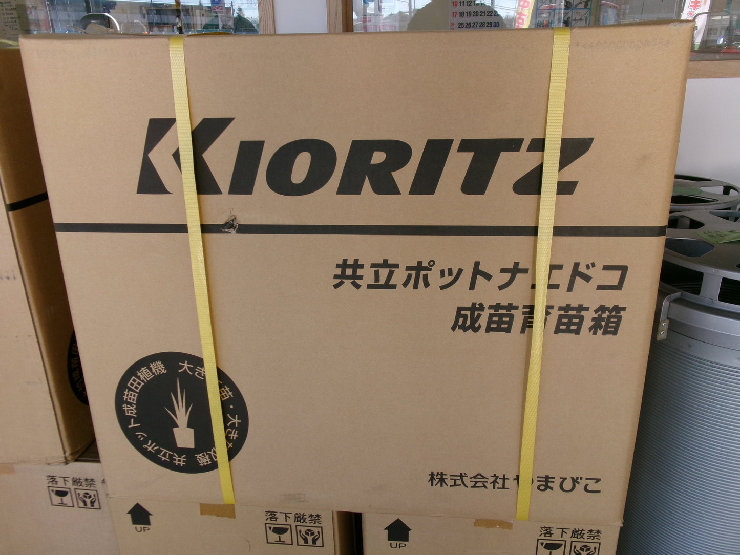 【未使用箱入り】共立 ポット苗用 成苗育苗箱③ 448穴 30枚入