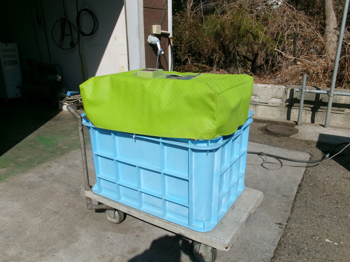 タイガー 中古 催芽機 FH-200ND 200V