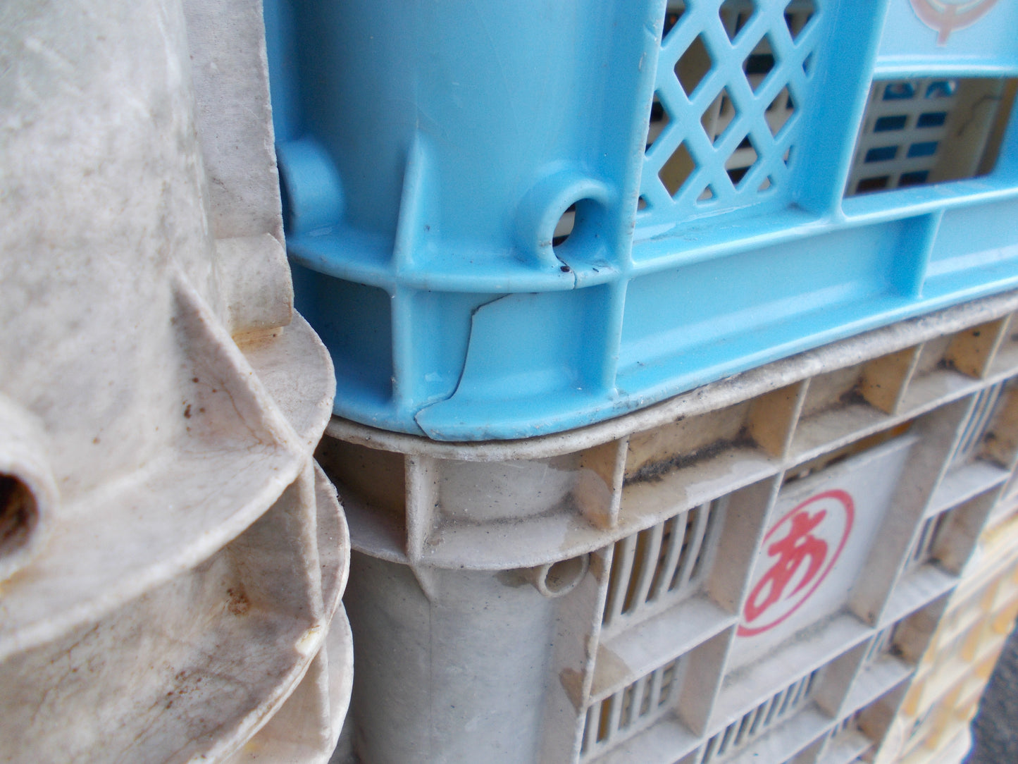 不明 中古 農業用コンテナ (単価100円/個)