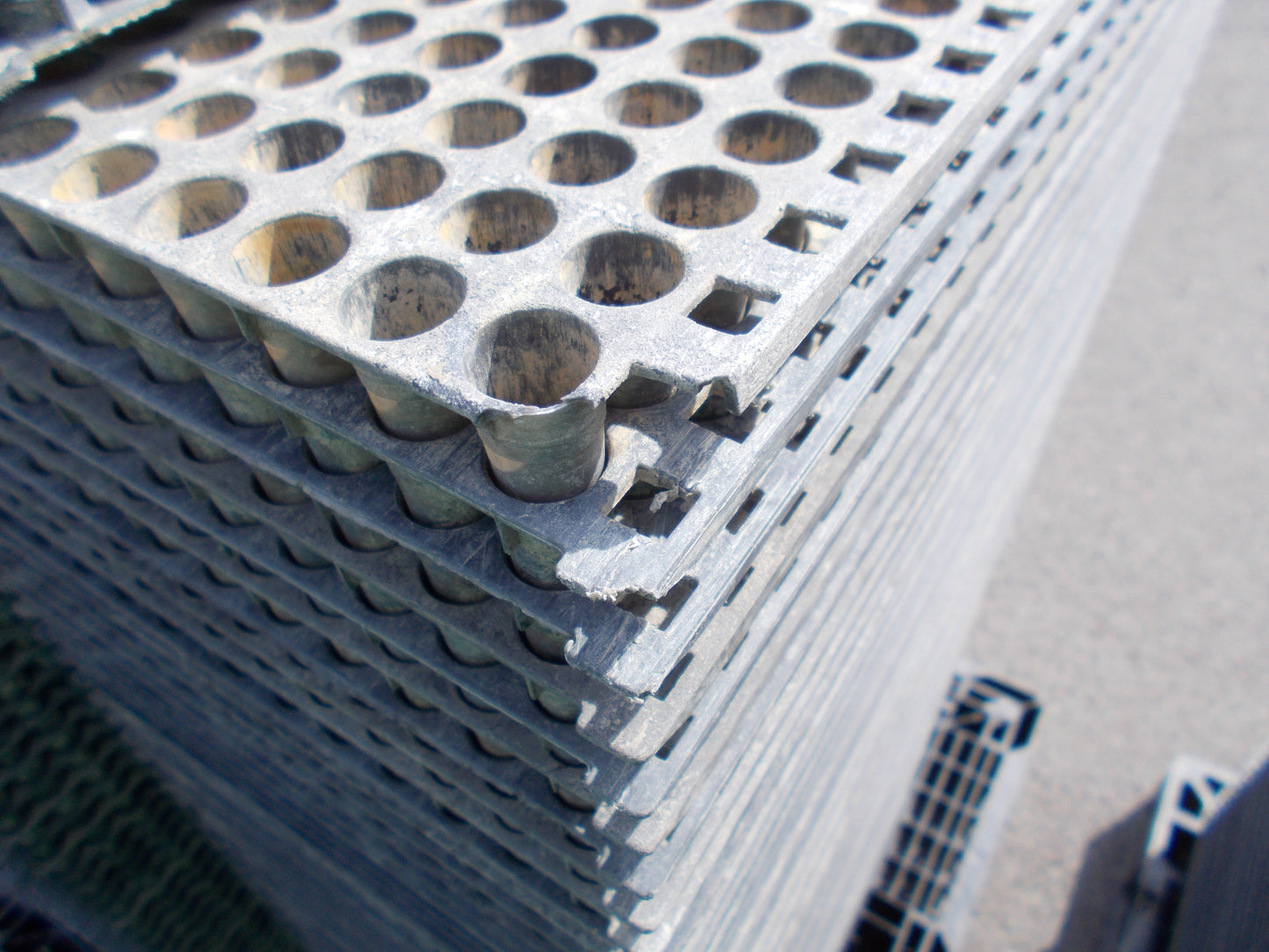 みのる 中古 ポット苗箱 448穴 (単価100円/枚)