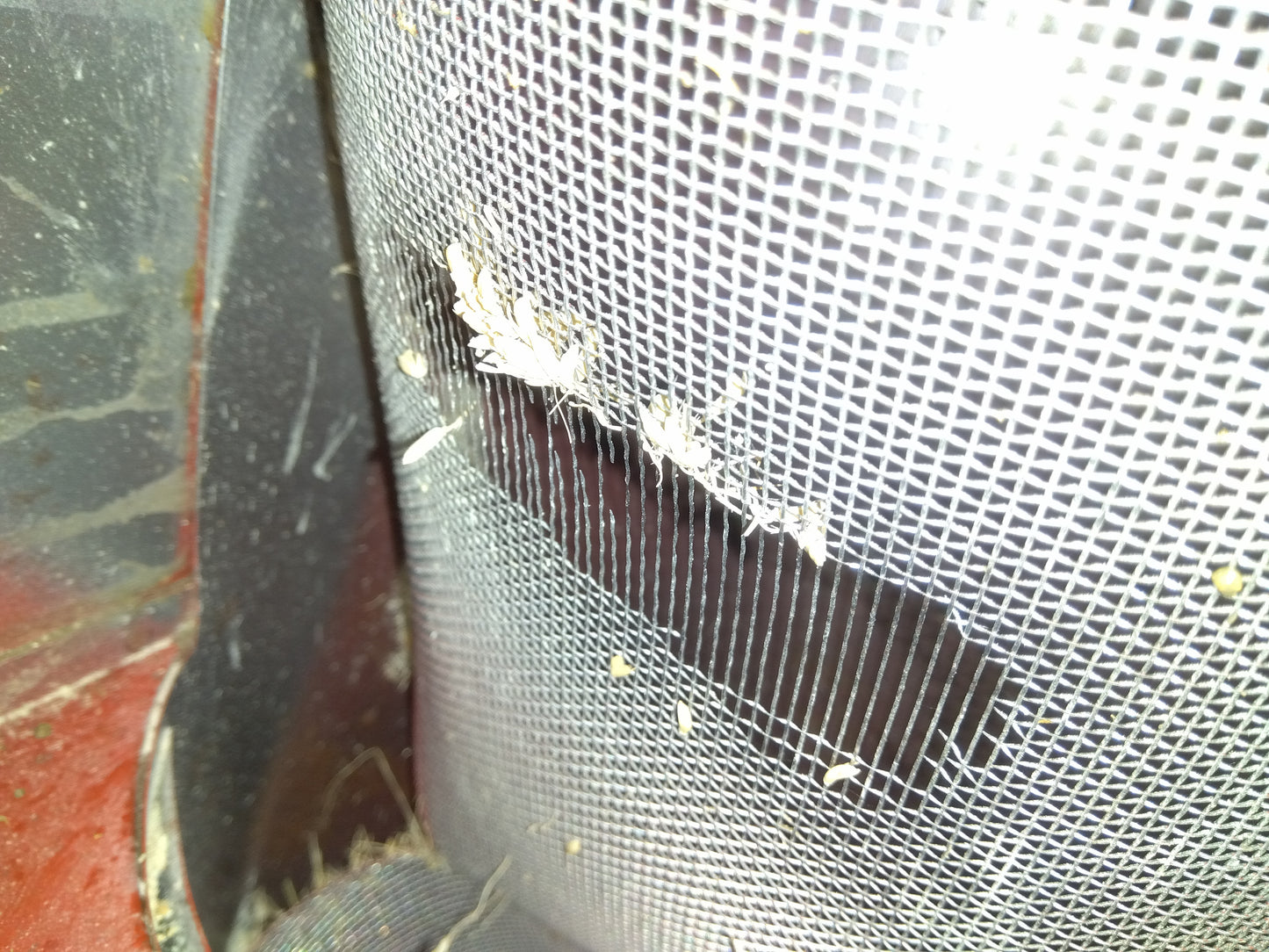 イガラシ 中古 籾殻収集器 Big4