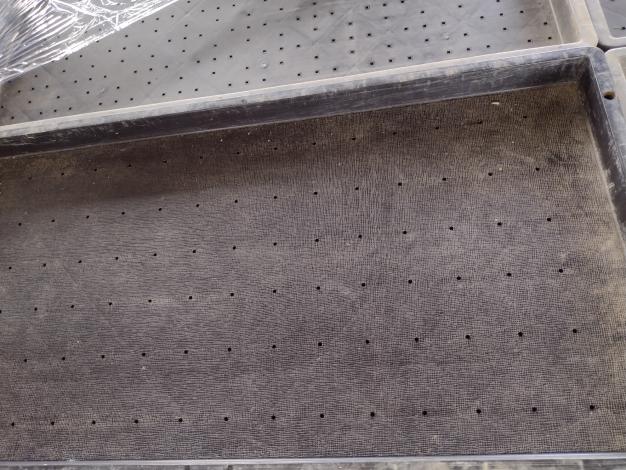 不明 中古 稚苗用苗箱 平面タイプ【2種類MIX200枚】