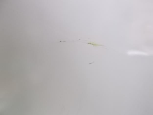 クボタ 中古 保冷庫