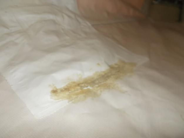 ササキ 中古 グレンキャリー