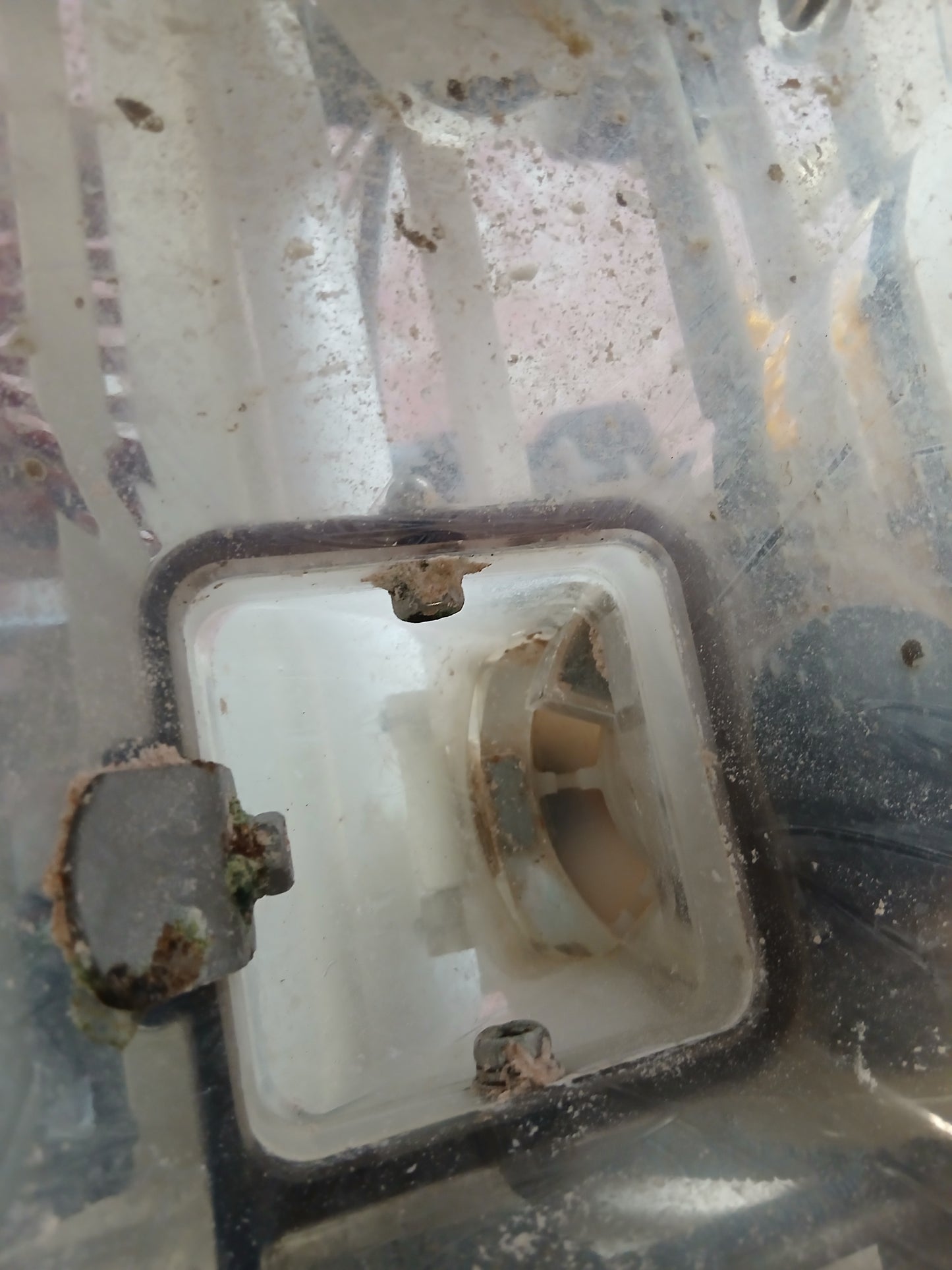 ヤンマー　中古　田植機　RJ6　【宮城店2593P】