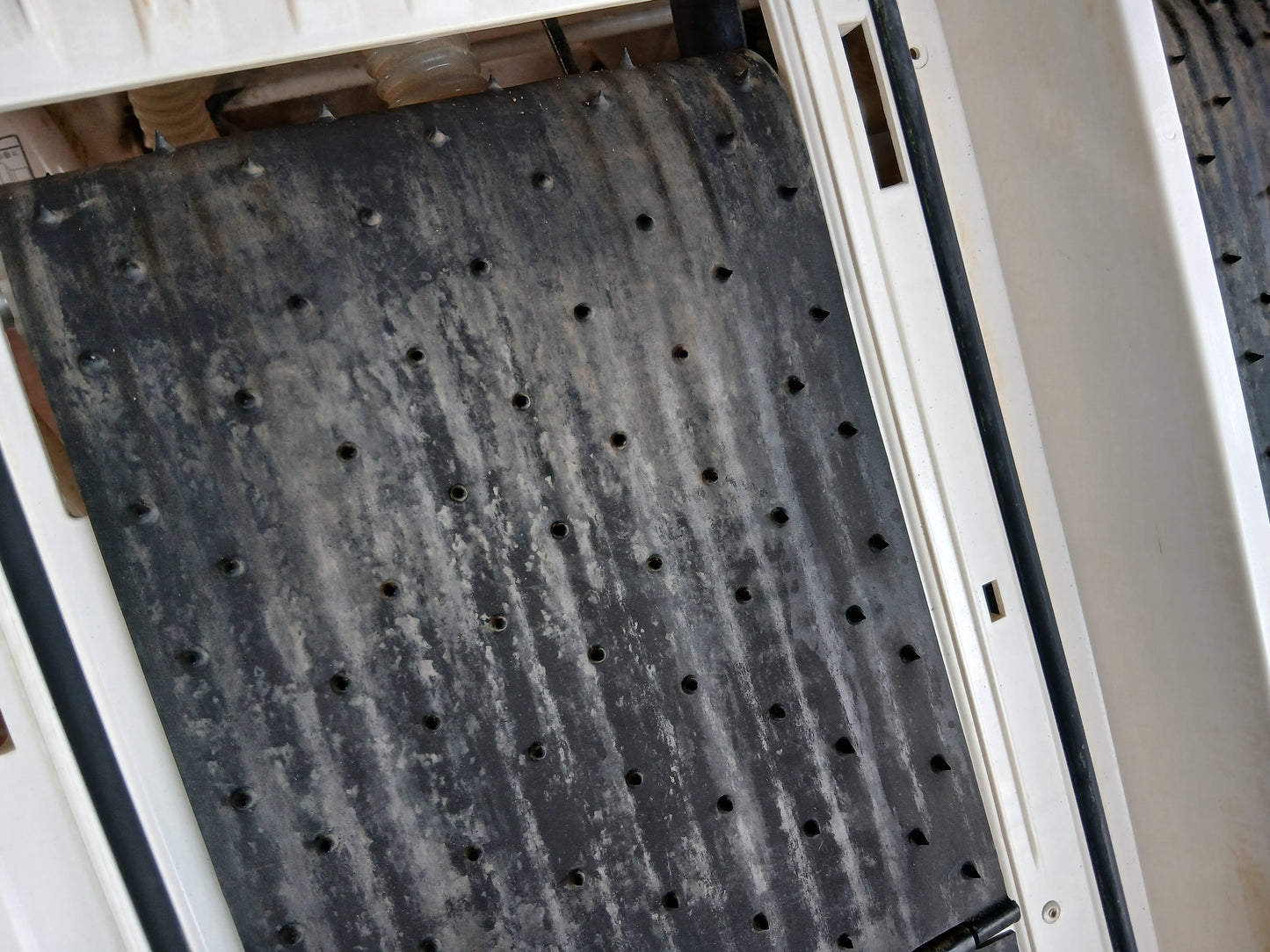 ヤンマー　中古　田植機　RJ6　【宮城店2593P】