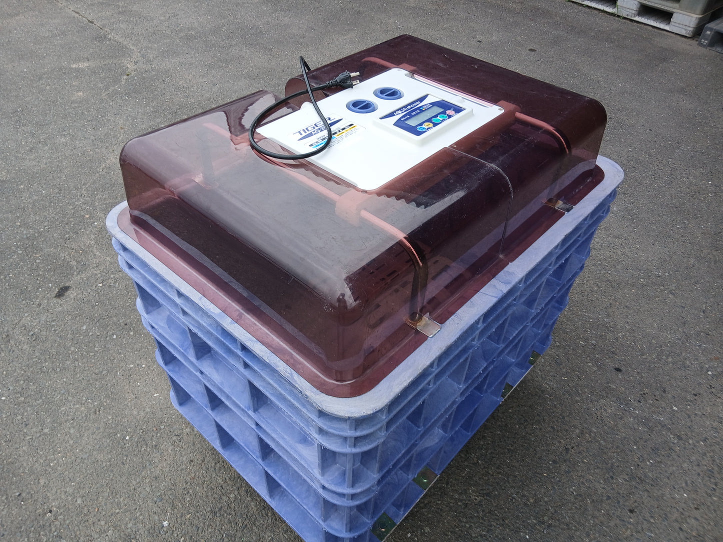 タイガー　中古　催芽機　AQ-250　【宮城店2946P】