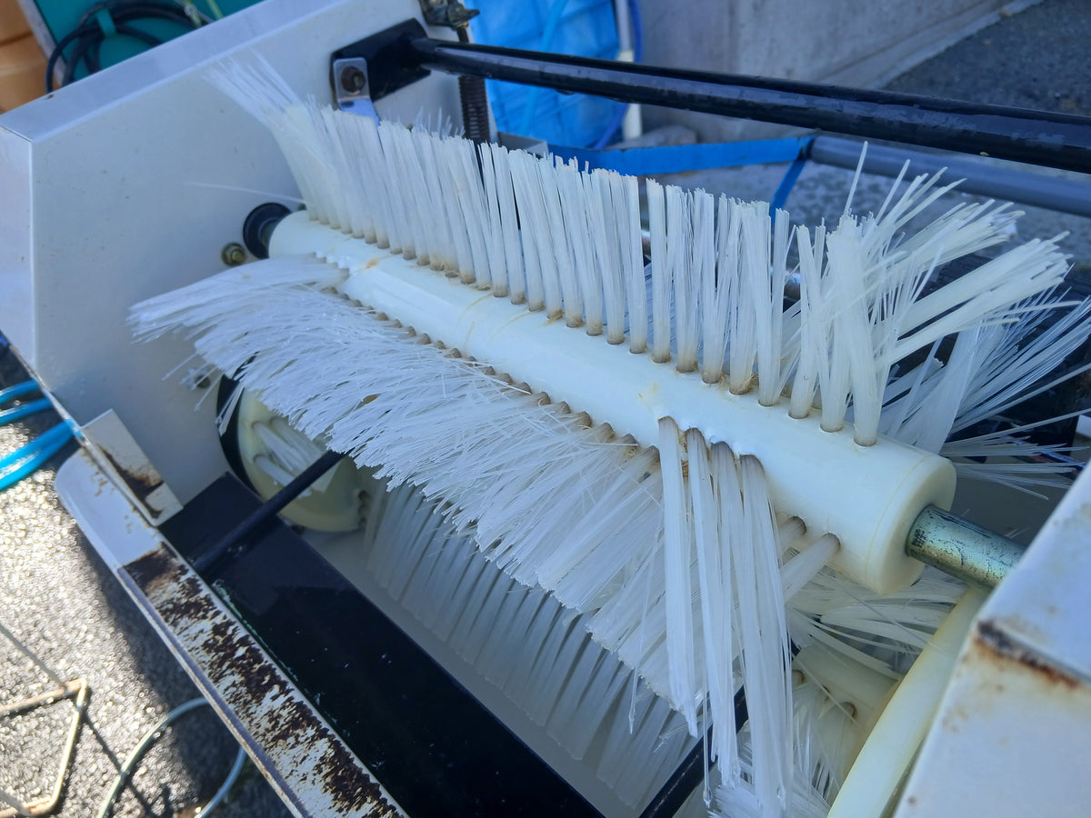 タイガー 中古 苗箱洗浄機 NBC-3 【宮城3245】