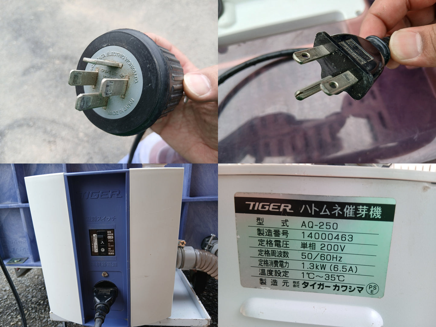 タイガー　中古　催芽機　AQ-250　【宮城店2946P】
