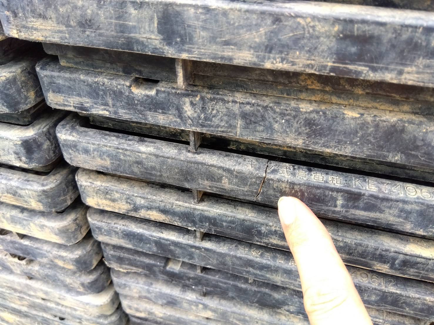 中古　苗箱　【170枚セット販売】キダ式など『茨城店　5770』