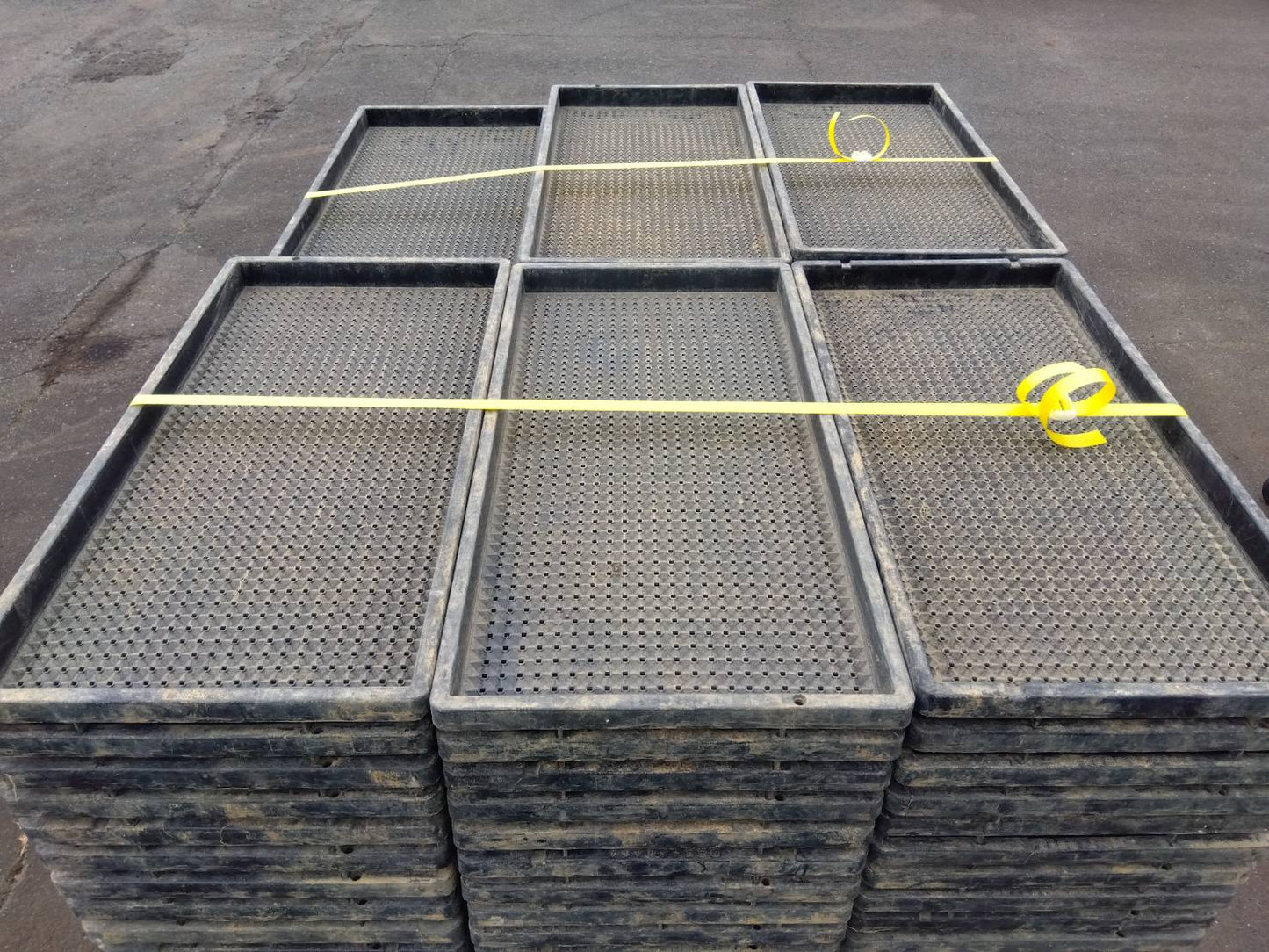 中古　苗箱　【170枚セット販売】キダ式など『茨城店　5770』