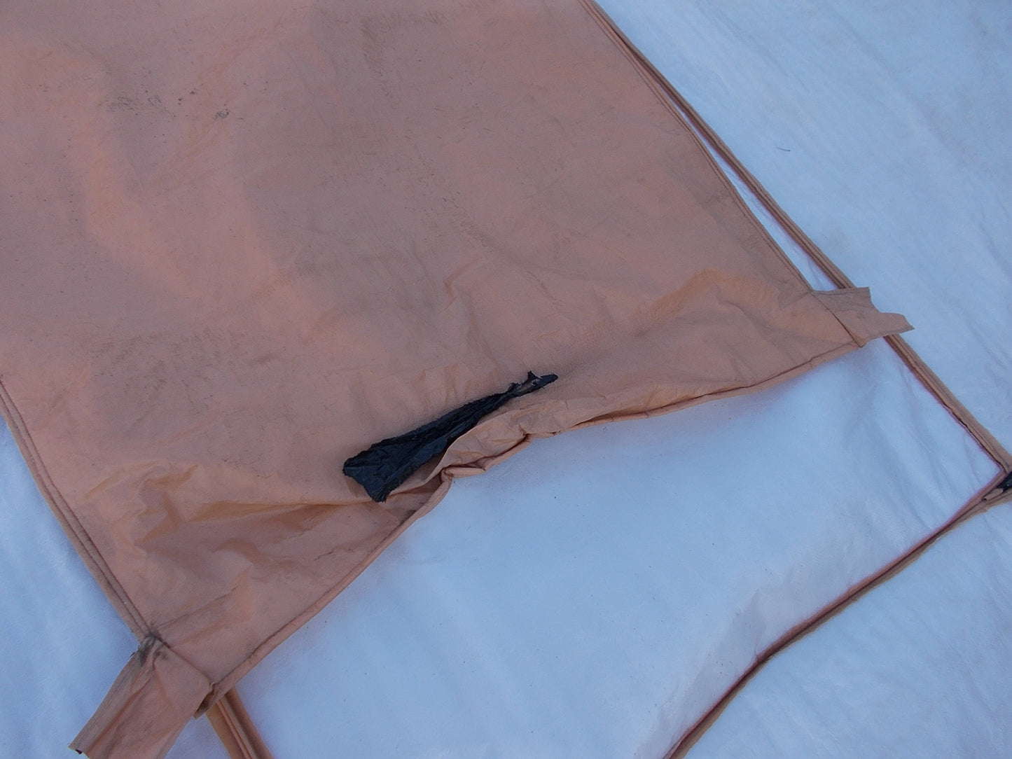 タイショウ　中古　スチーム発芽器　育苗機　ICX-360