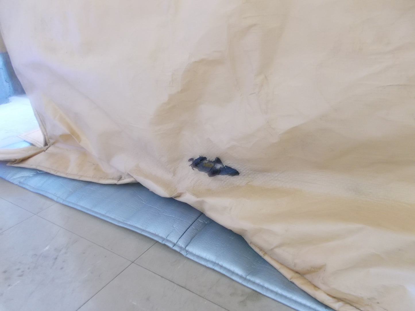 タイショウ　中古　スチーム発芽器　育苗機　ICX-360