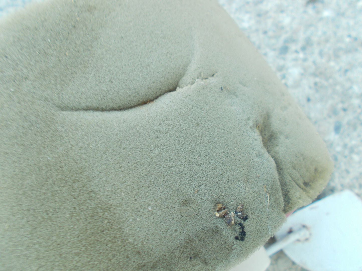 みのる　中古　野菜播種機　RWX-1