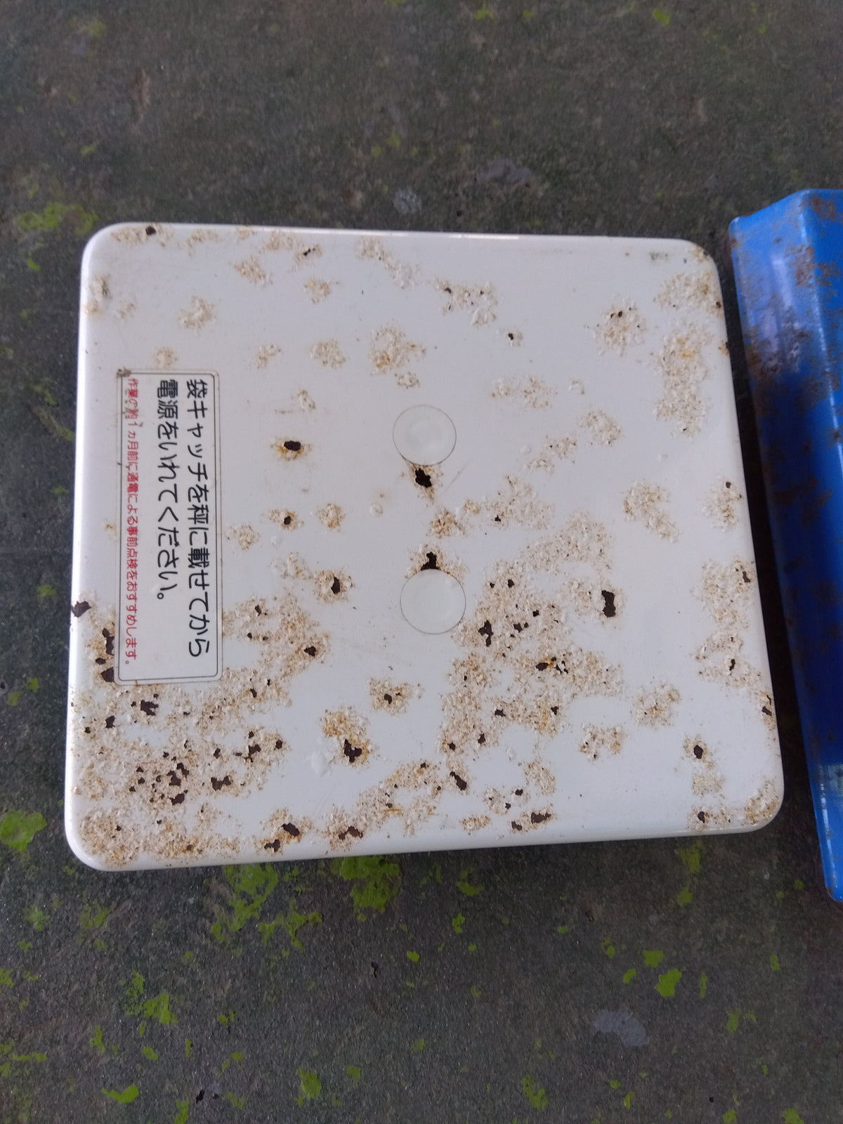 イセキ　中古　選別計量機　LTA20