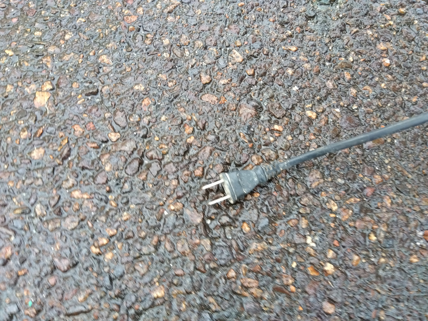 ミツワ　中古枝豆選別機セットGS-4（選別機、選別コンベア、リフトコンベア）