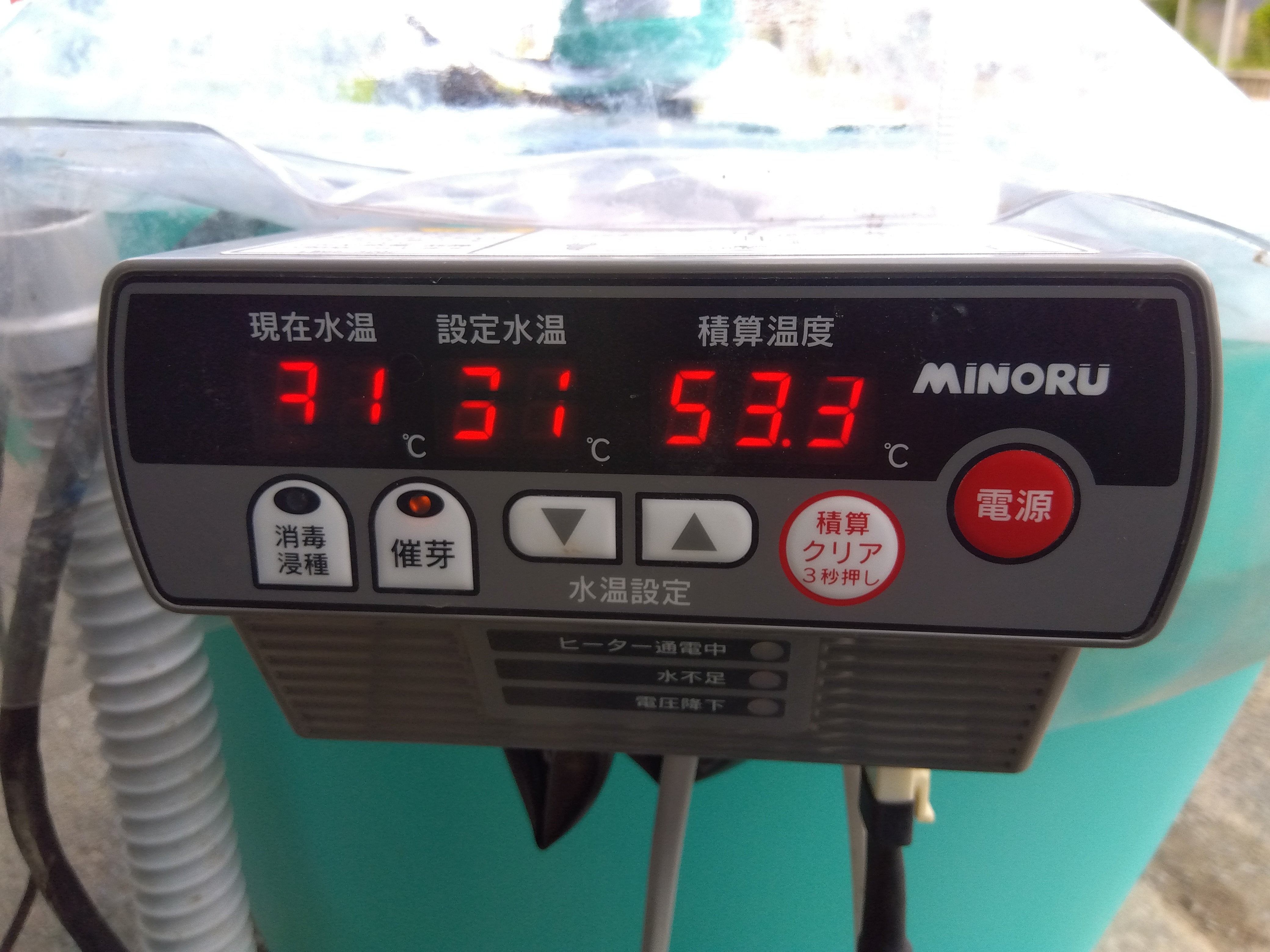 みのる Roblox費希最貴的魚| TikTok