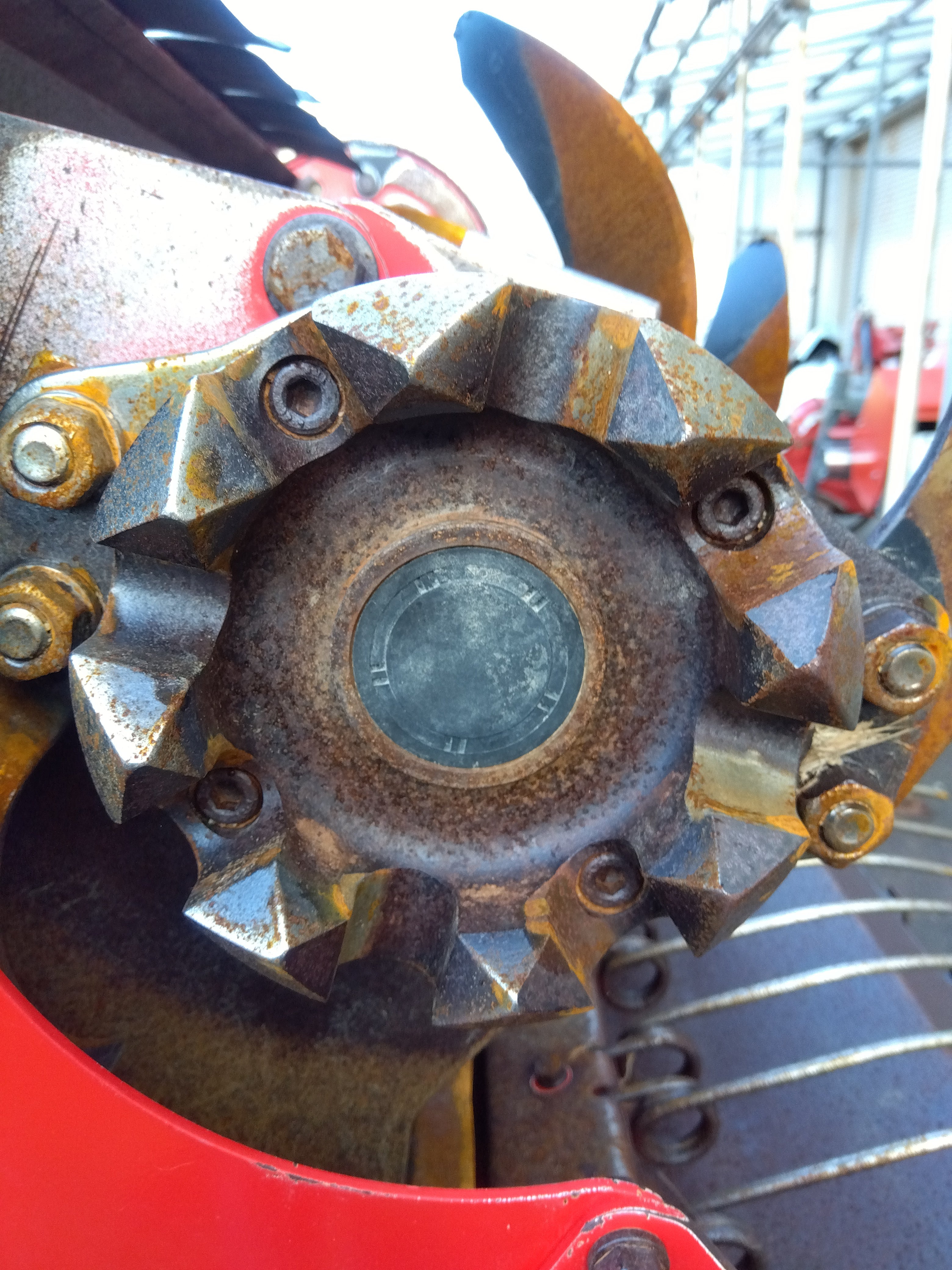 ドラゴン パーツ バラ売り可 Asian Symbolsドラゴン | Swarovski