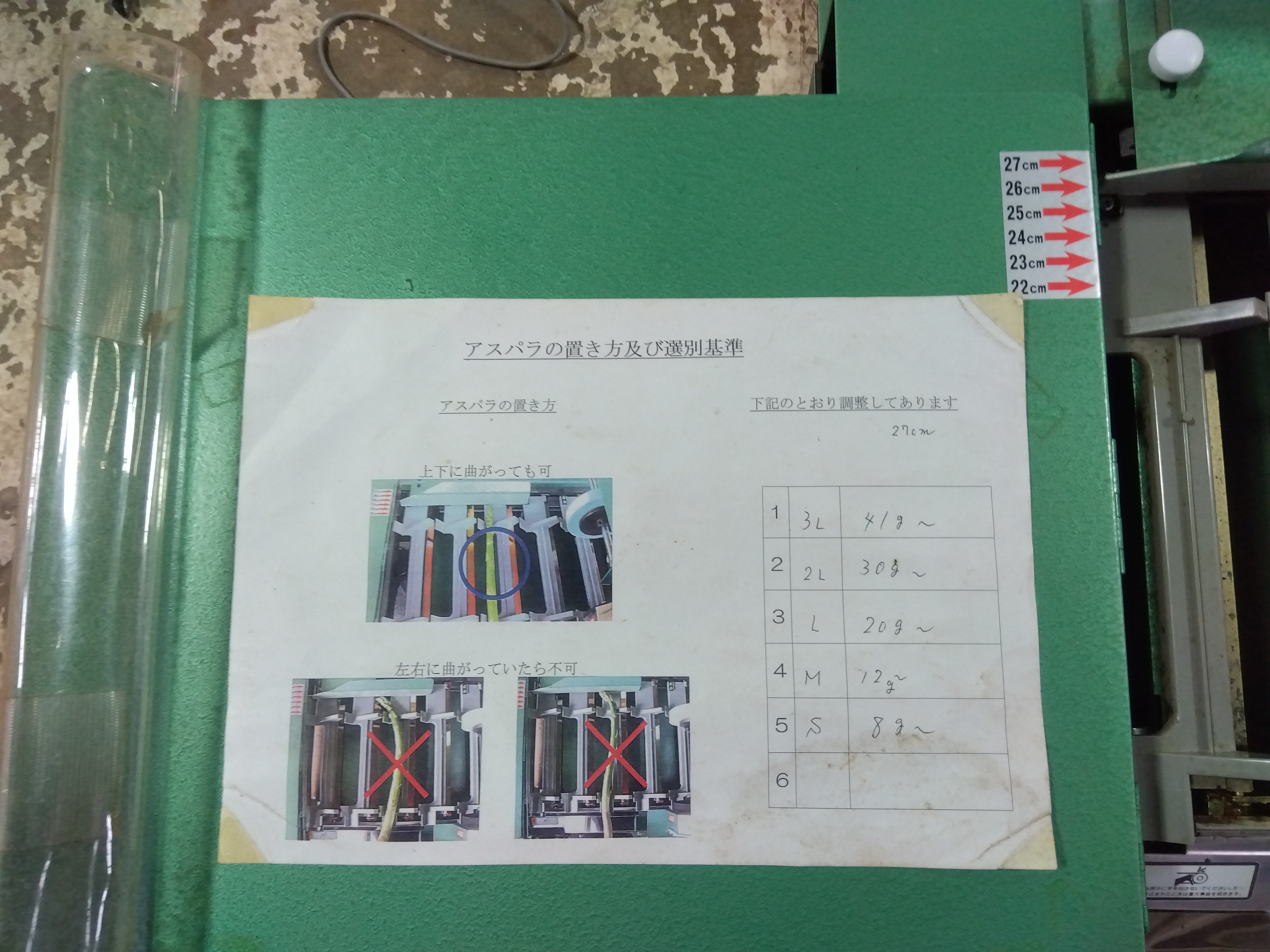 オギワラ 中古 アスパラ自動選別機 AS-Ⅱn 「8631」 – 農キング
