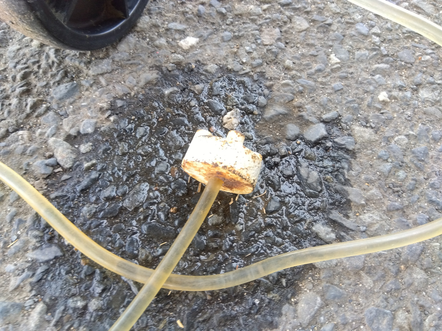 クボタ　中古　播種機　SR-231KRW　「宮城店　1996」