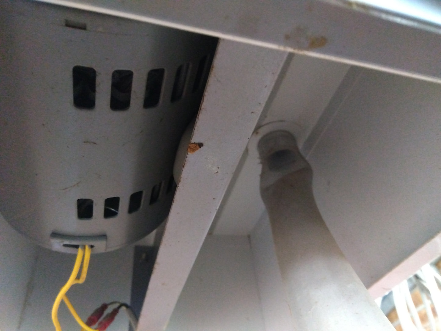 タイガー　中古　苗箱洗浄機　NBC-300　「宮城店　2055」