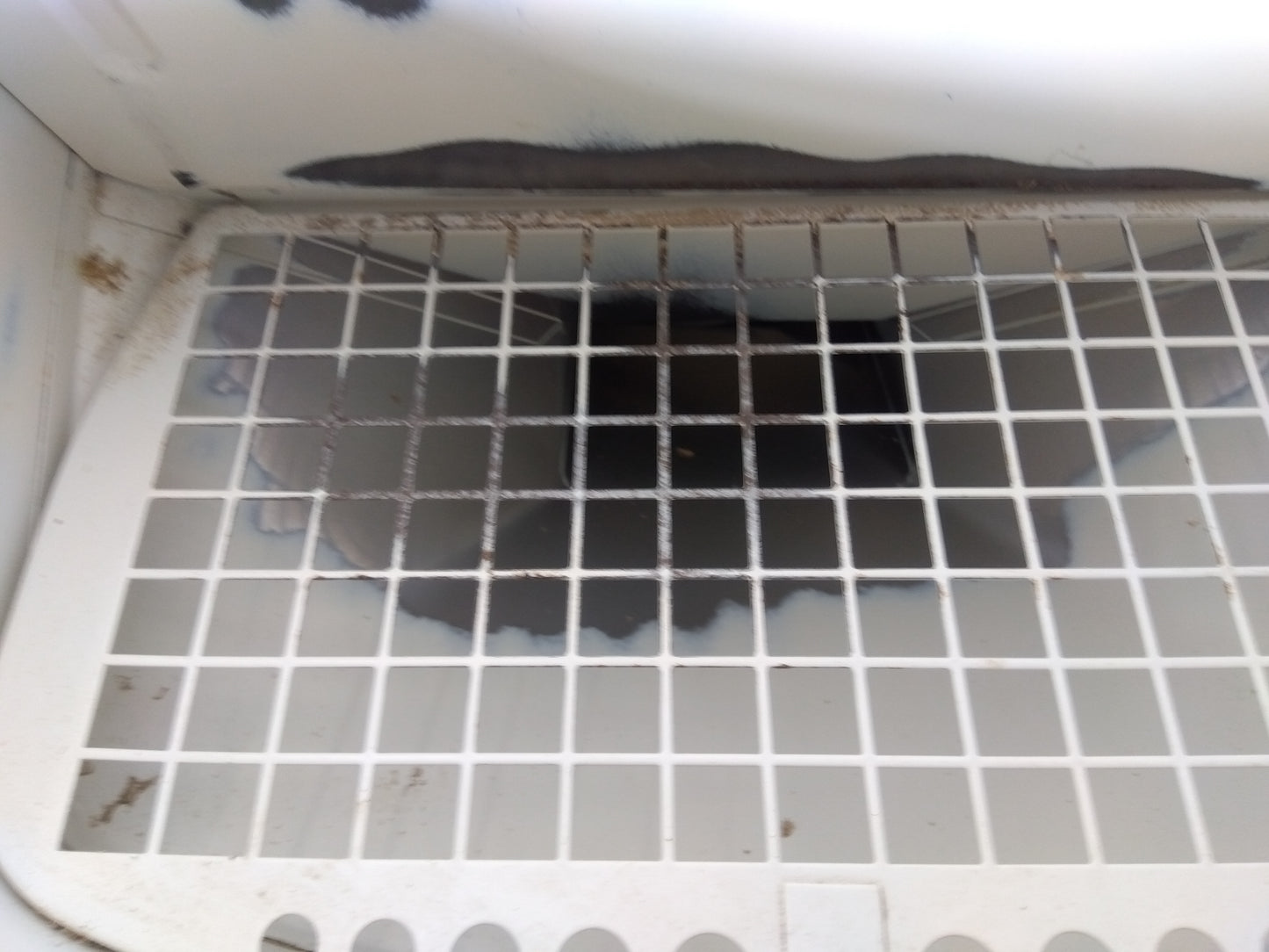 タイガー　中古　選別計量機　NRV-20A　【2061】