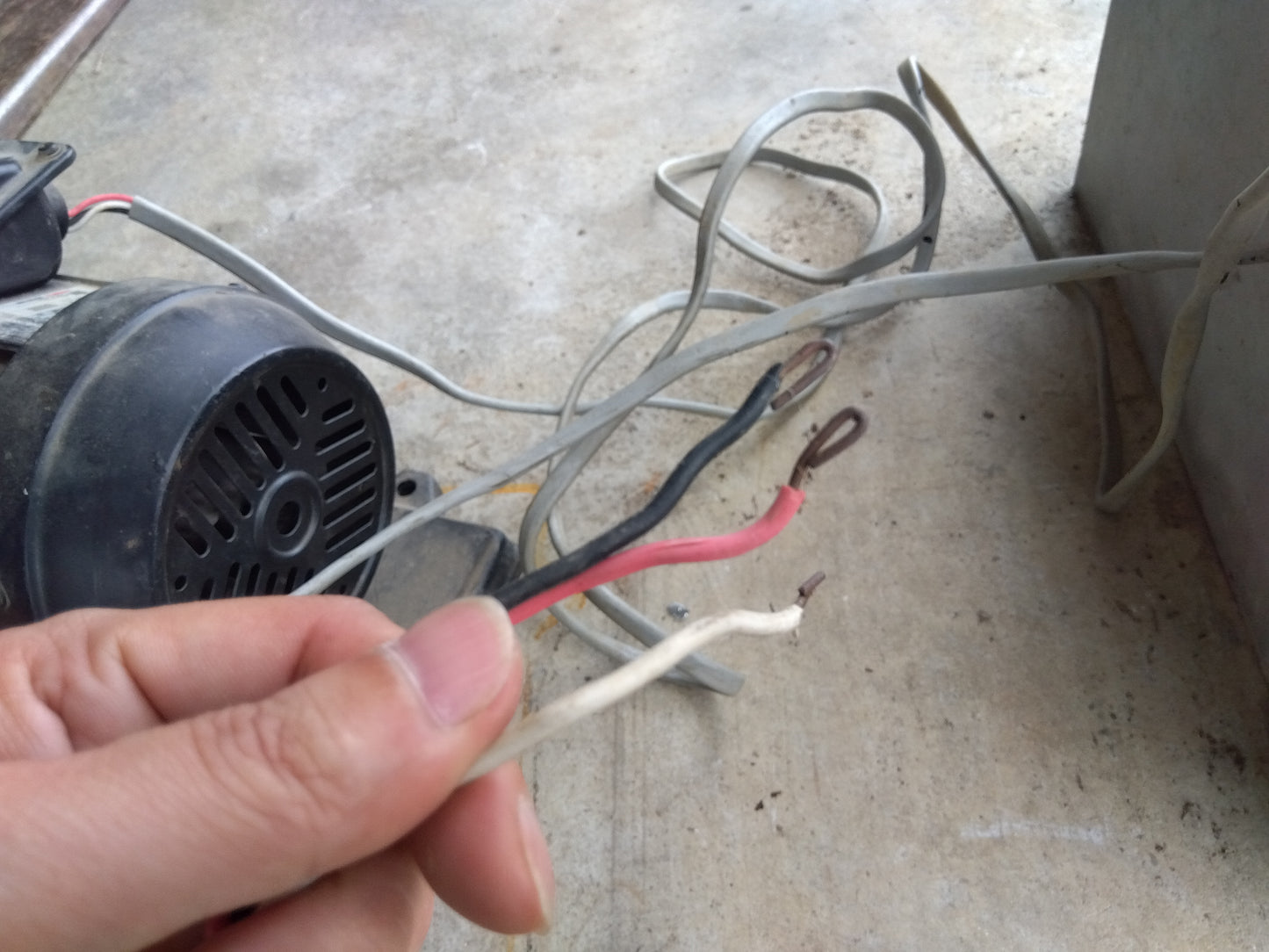 荏原製作所　モーターポンプ　40MDPA352.2【8841】