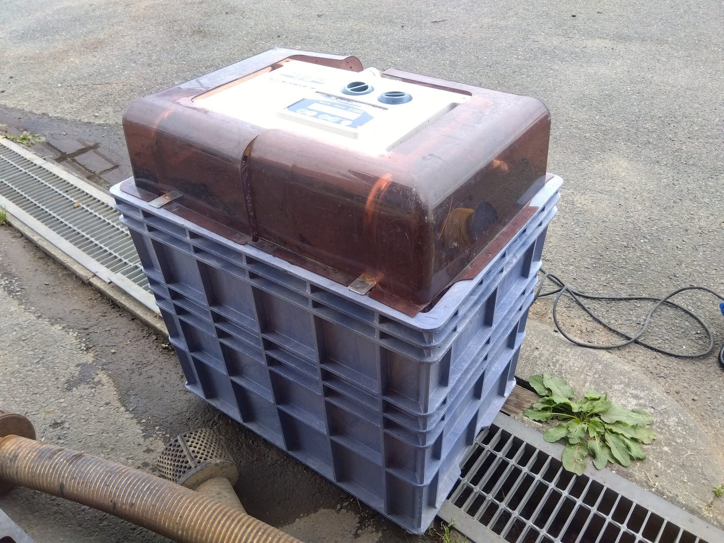 タイガー　中古　催芽機　AQ-150　【2064】