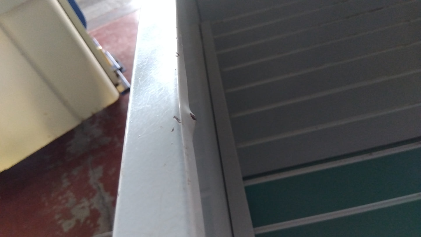 サイトー　中古　バネコンホッパー　B-305　「宮城店2279」