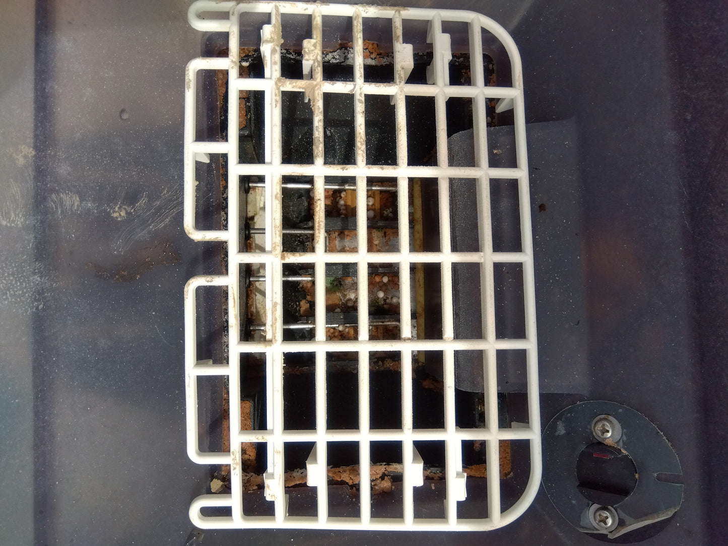 クボタ 中古 田植機 NSU65-IT5FR 【山形店 9264】