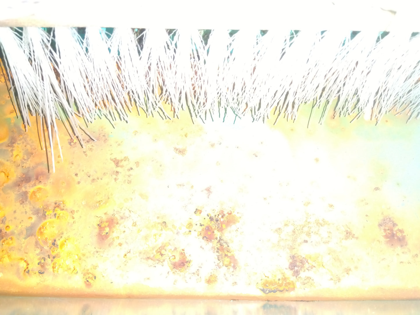 齋藤農機製作所　中古　苗箱洗浄機　SW-101　「宮城店　2311」