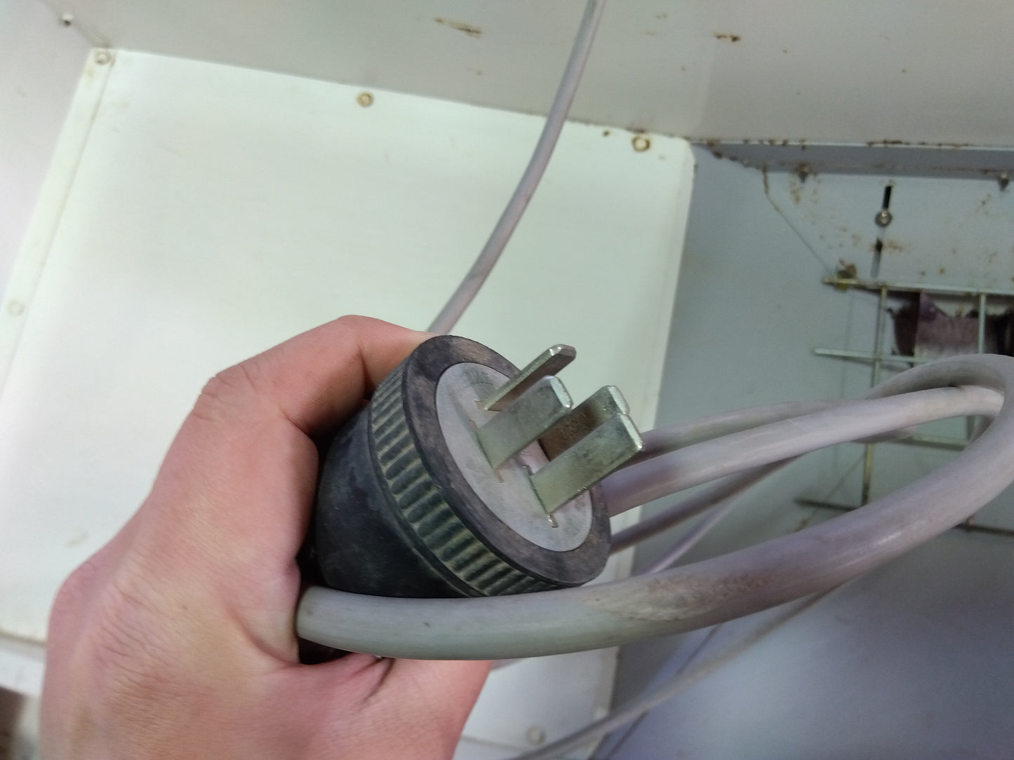 石井製作所 ビッグホッパ+バネコン付 BHW-L【山形店】