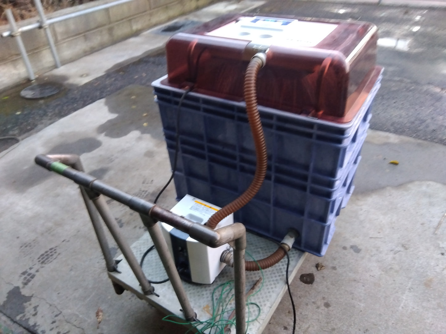 タイガー　中古　催芽機　AQ-150