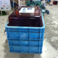 タイガーカワシマ　中古催芽機　AQ-250　【山形店9963】