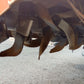 コバシ　中古　ハロー　PLR241　「岩手店687」