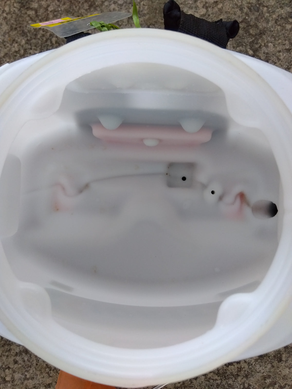 共立  エンジン式背負動力噴霧機  SHRE175G【山形店10262】