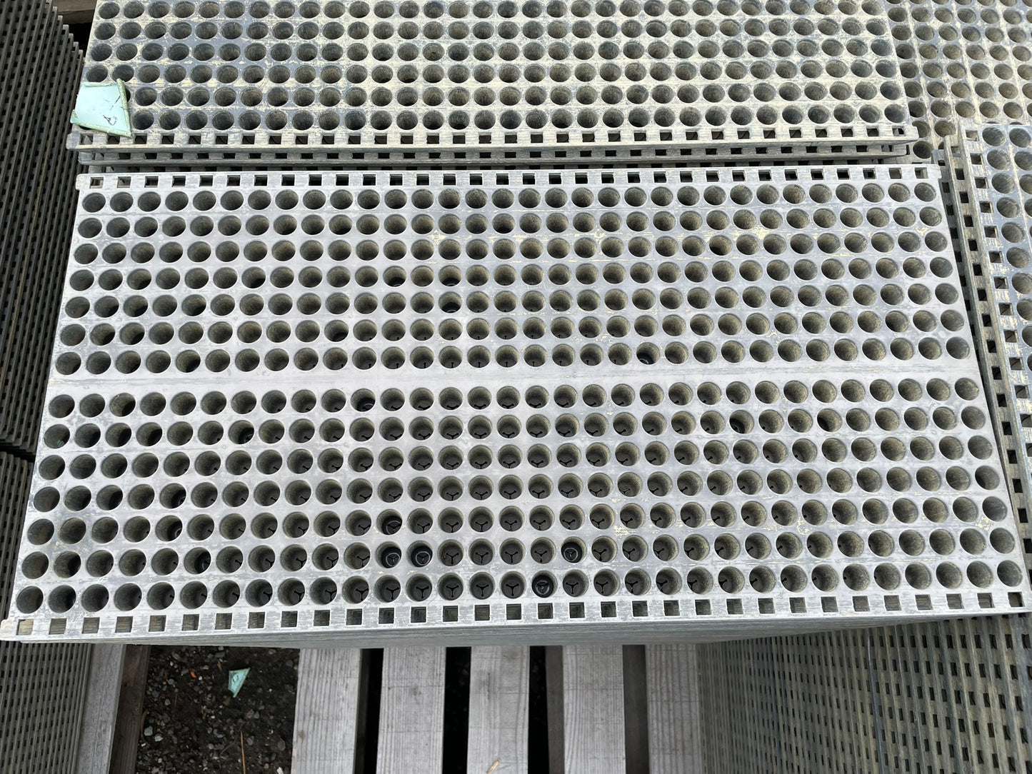 みのる　中古　ポット育苗箱　448穴