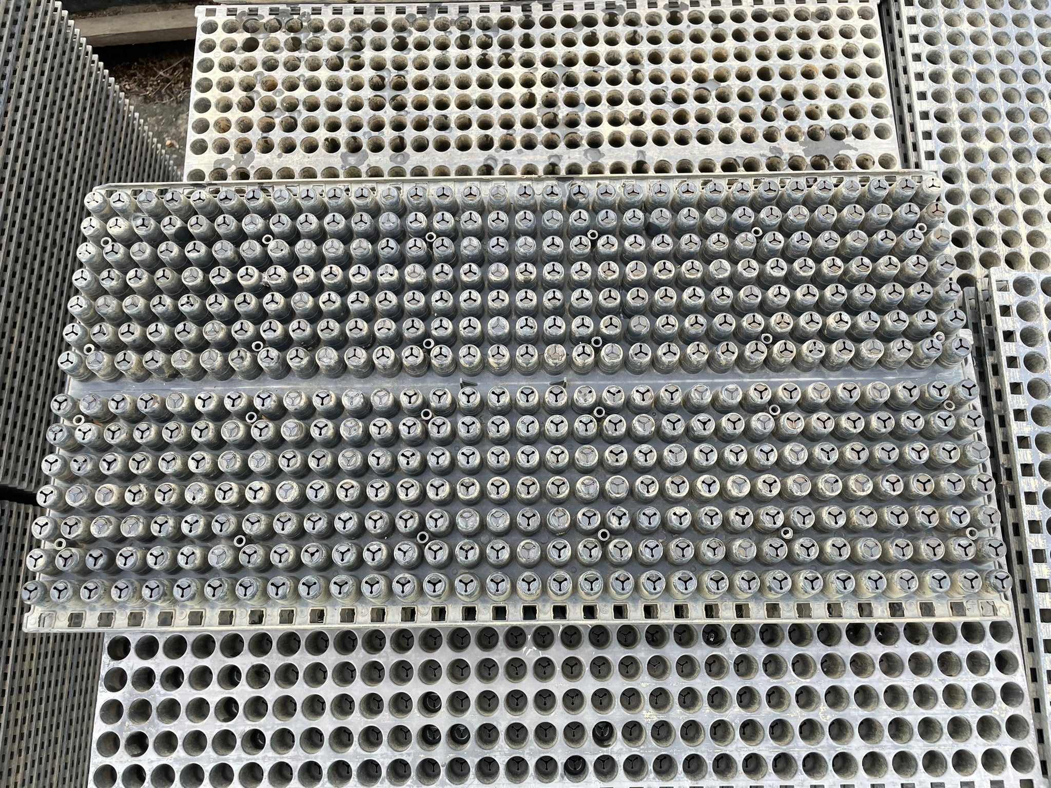 送込 62枚 みのるポット448穴 中古 みのる 中古 ポット苗箱 448穴 （単価100円/枚） – 農キング