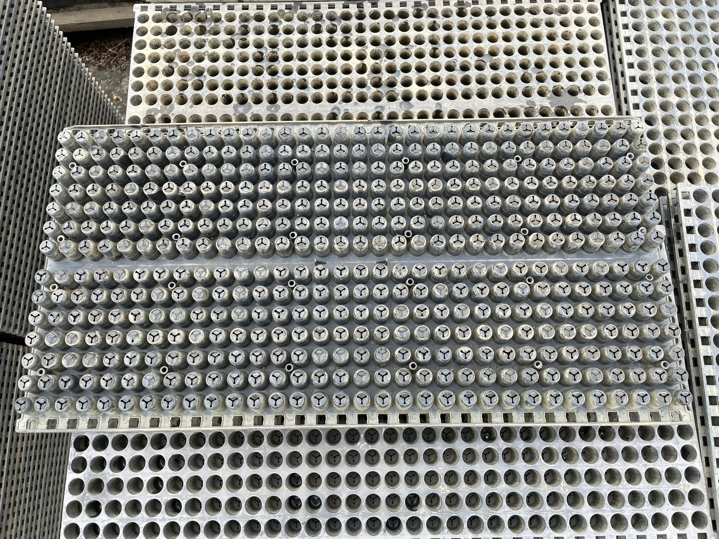 みのる　中古　ポット育苗箱　448穴