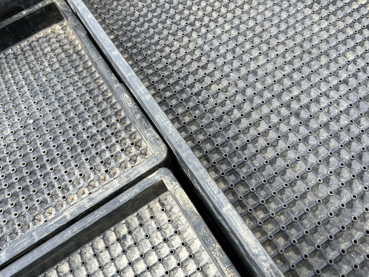 苗箱　中古　キダ式・スクスク等　『山形店8418-2』