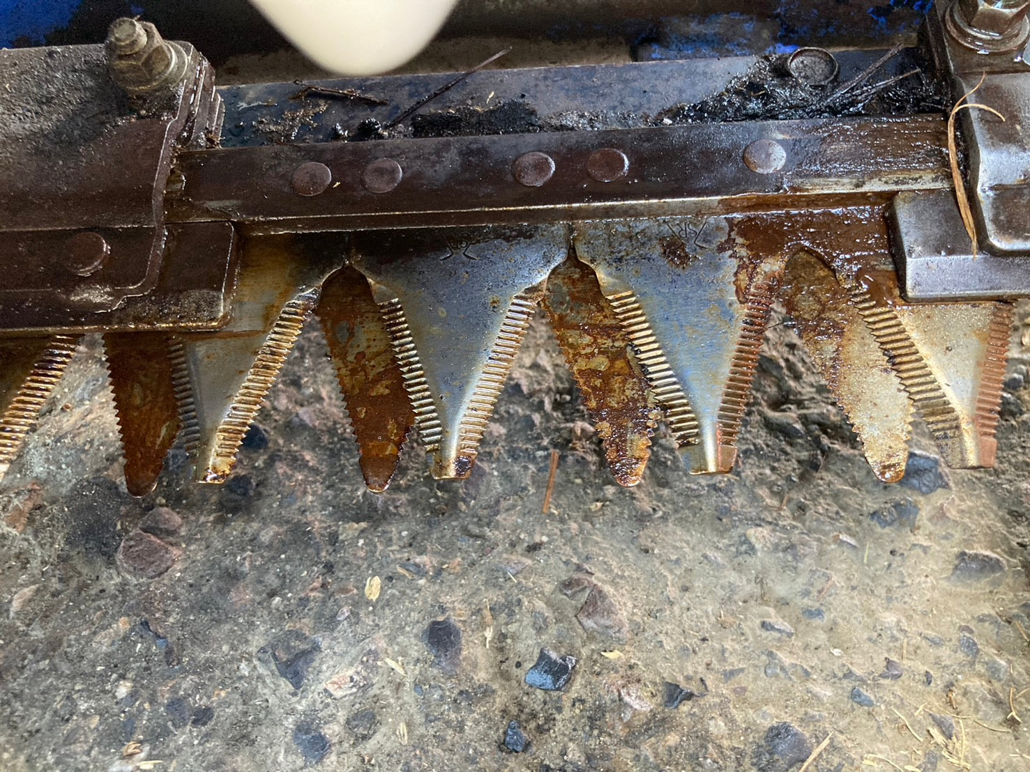 パイロゴイフ　4枚 MTG Pyrogyf /パイロゴイフ 英語 4枚セット