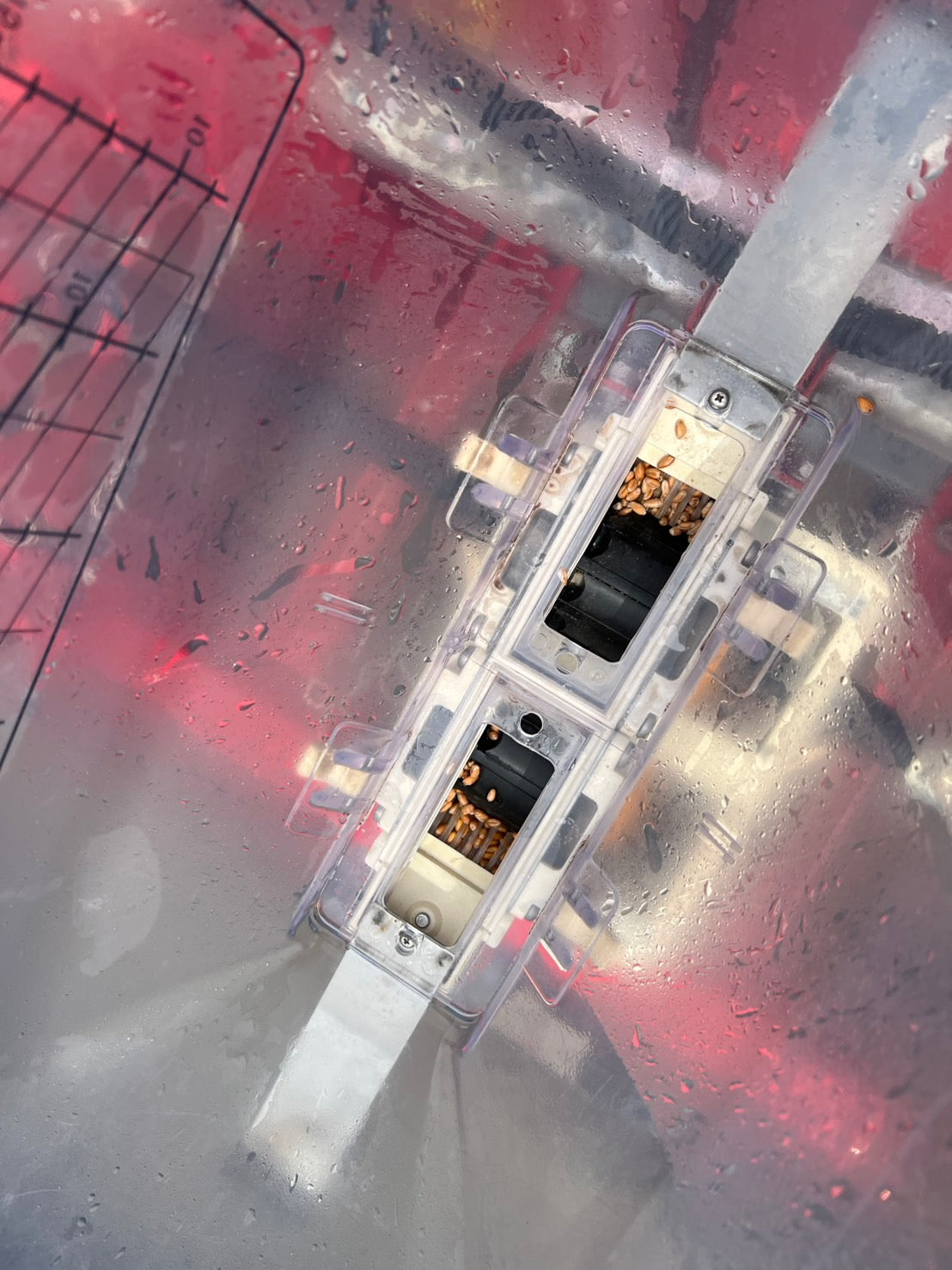 ニプロ　中古　ロータリ＋搭載型シーダー【ロータリ＋播種機＋施肥機】＊TBA2400C＋UF-S22H8R24(A)『茨城店5576』