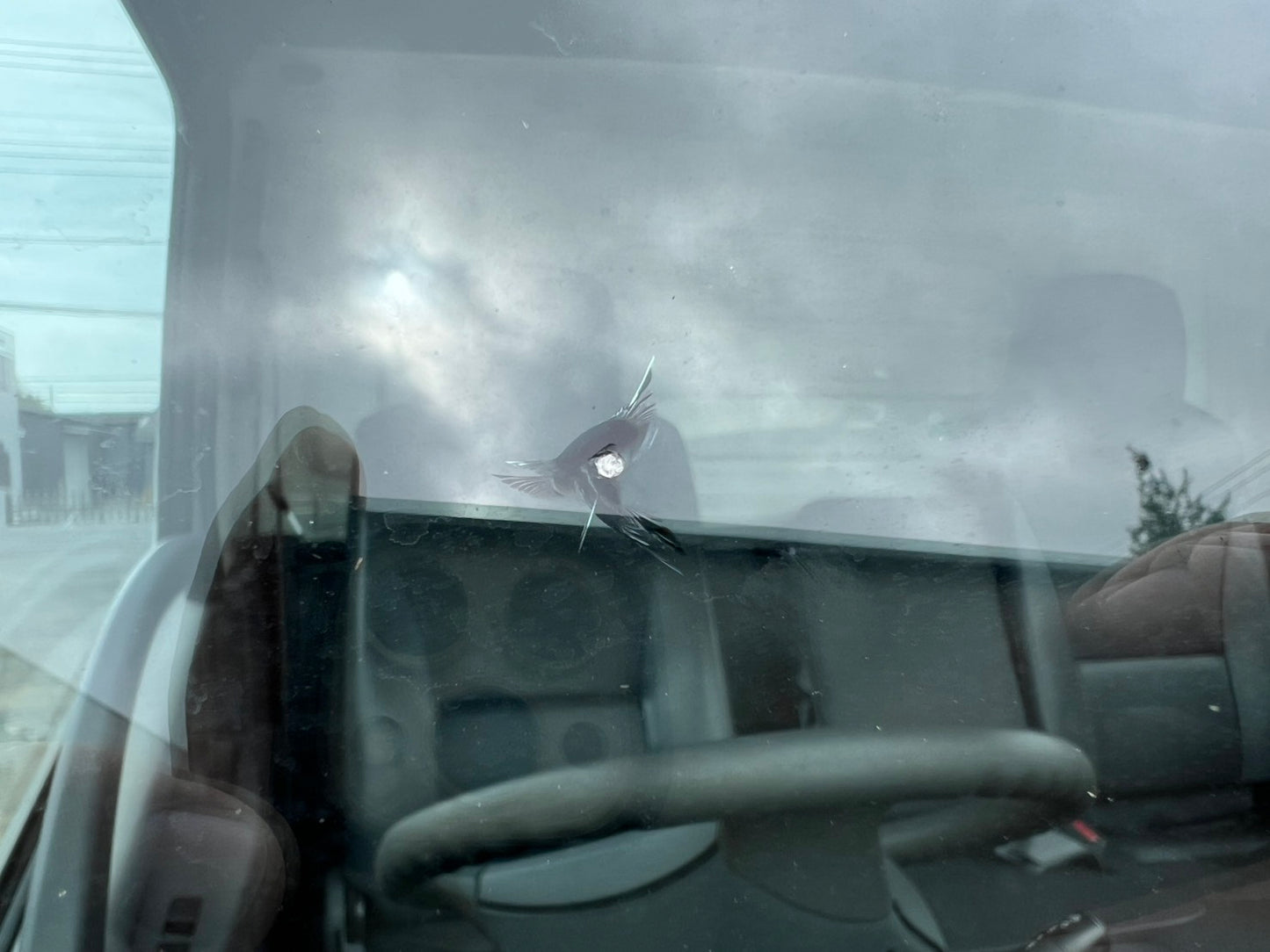 いすゞ　中古　箱バン【2トン】＊TPG-NMR85AN『茨城店　5832』