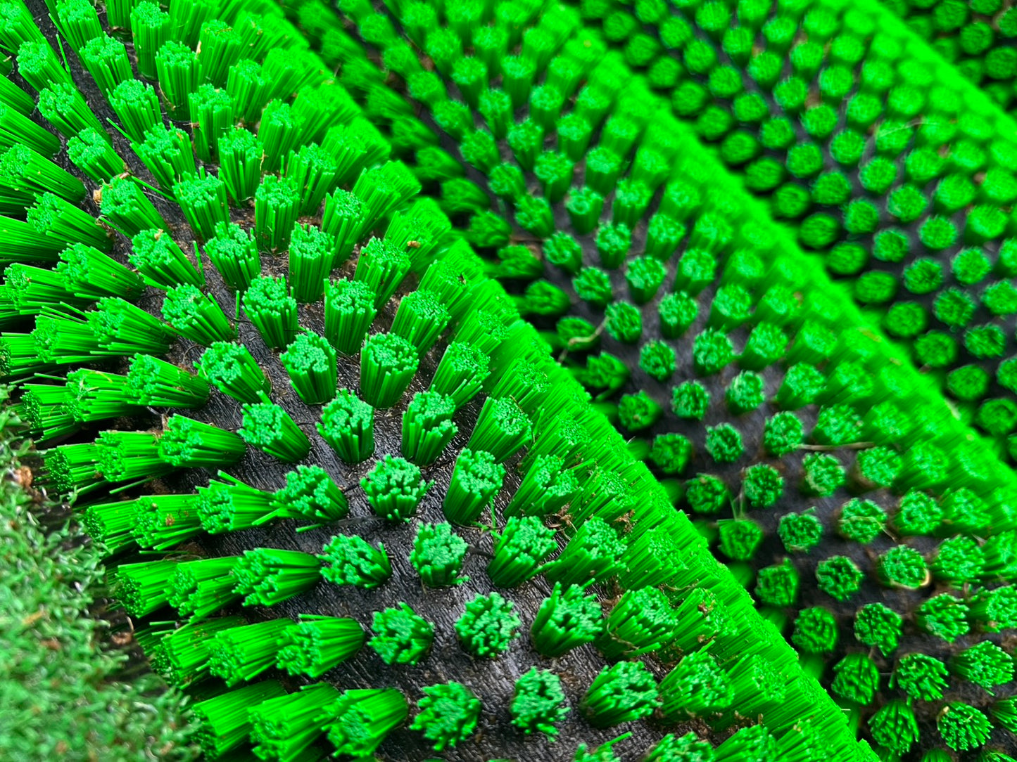 共立　中古　野菜洗浄機【人参にて使用】＊KNU1007SR-10『茨城店  5998』