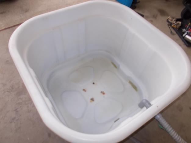 共立　中古　催芽機