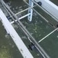 コンマ　中古　播種機