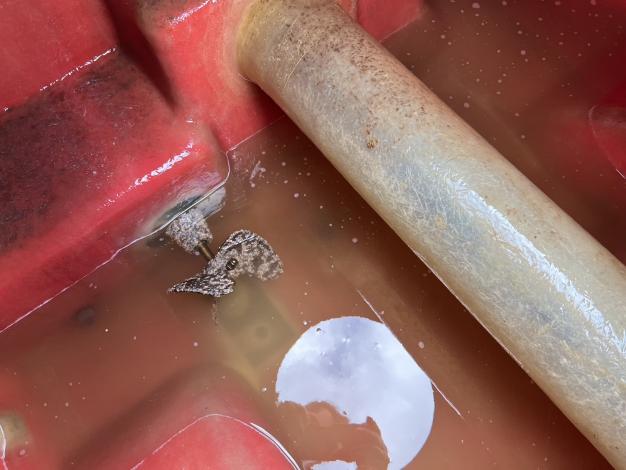 ショーシン　中古　スピードスプレーヤー