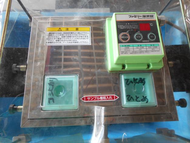 中古 催芽機