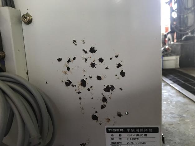 タイガーカワシマ　中古　米袋昇降機