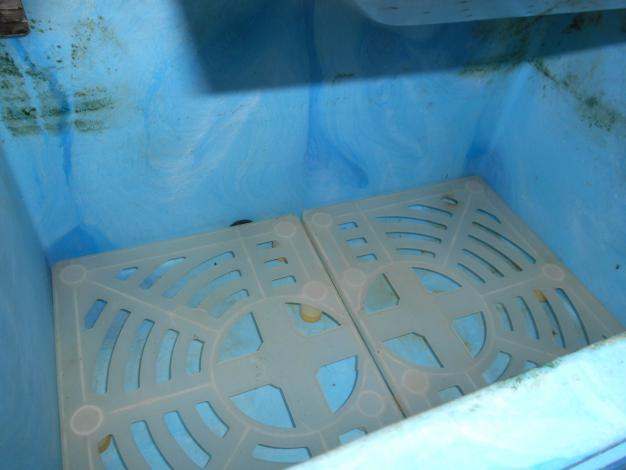 【ジャンク品】　タイガー　中古　催芽機